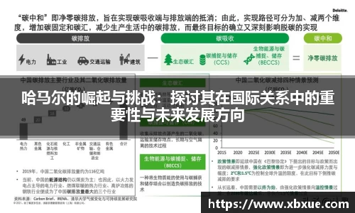 哈马尔的崛起与挑战：探讨其在国际关系中的重要性与未来发展方向